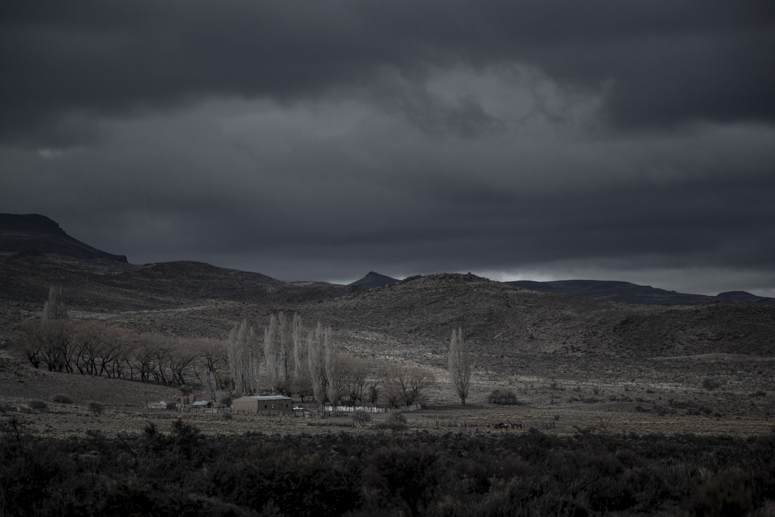 _DSC0432_1